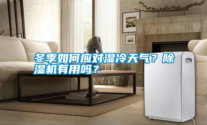 冬季如何應對濕冷天氣？除濕機有用嗎？