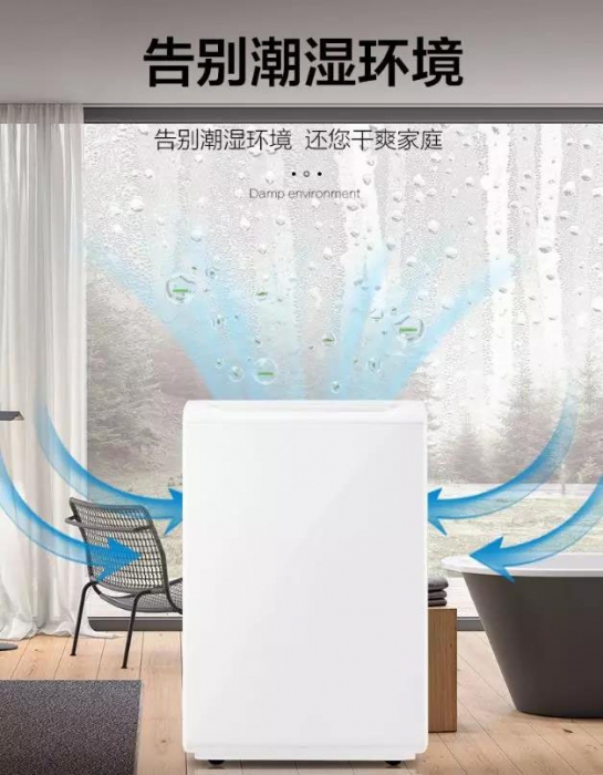 南方進(jìn)入回南天，多肉植物這樣養(yǎng)才不會(huì)有事！