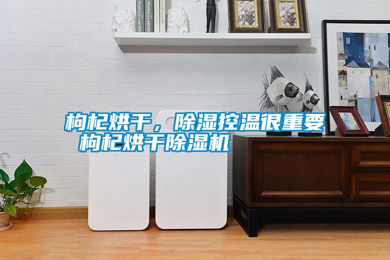 枸杞烘干,除濕控溫很重要 枸杞烘干除濕機