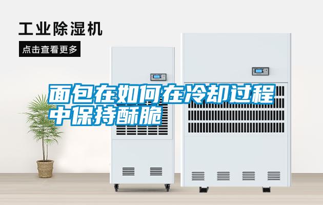 面包在如何在冷卻過(guò)程中保持酥脆