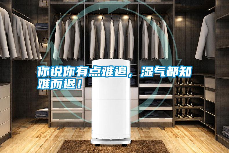 你說你有點(diǎn)難追，濕氣都知難而退！