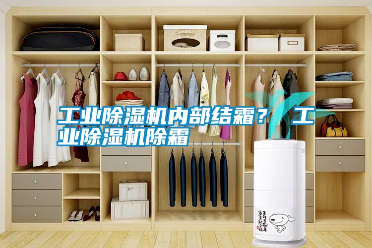 工業(yè)除濕機內(nèi)部結(jié)霜？ 工業(yè)除濕機除霜