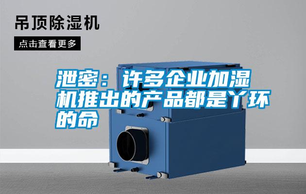 泄密：許多企業(yè)加濕機推出的產品都是丫環(huán)的命