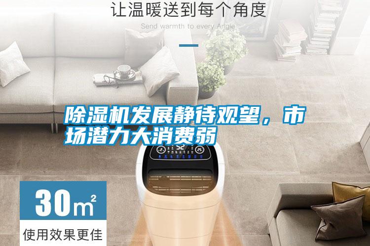 除濕機發展靜待觀望，市場潛力大消費弱