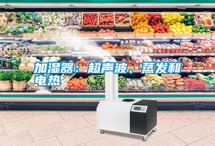 加濕器：超聲波、蒸發和電熱