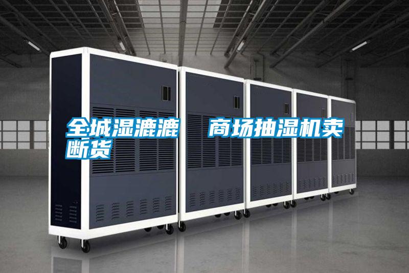 全城濕漉漉 商場(chǎng)抽濕機(jī)賣(mài)斷貨