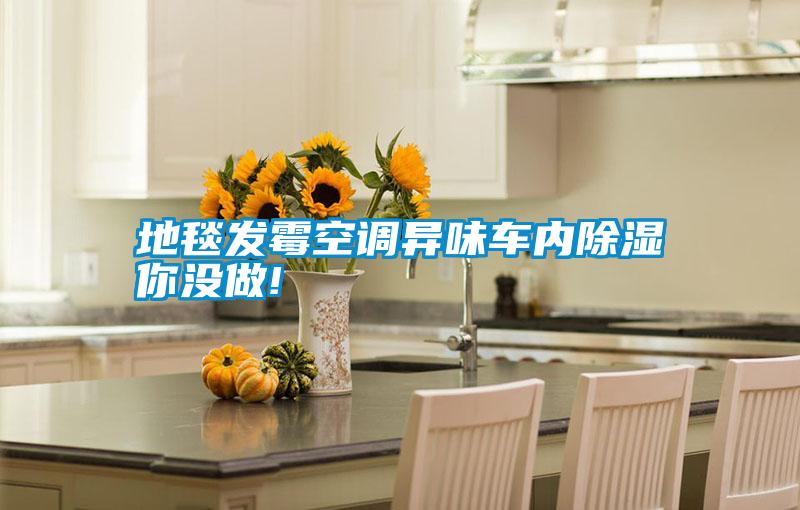 地毯發霉空調異味車內除濕你沒做!