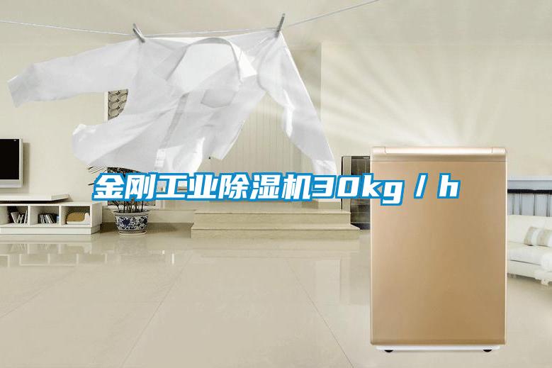 金剛工業除濕機30kg/h