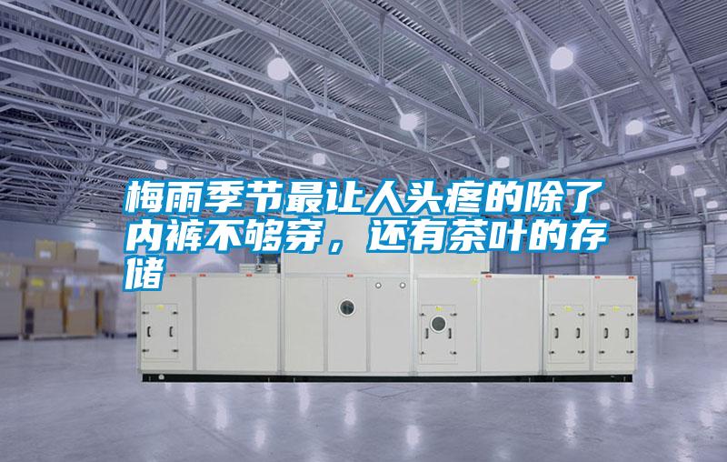 梅雨季節最讓人頭疼的除了內褲不夠穿，還有茶葉的存儲