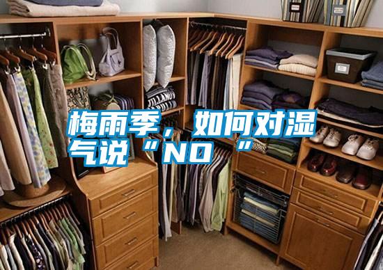 梅雨季，如何對濕氣說“NO ”