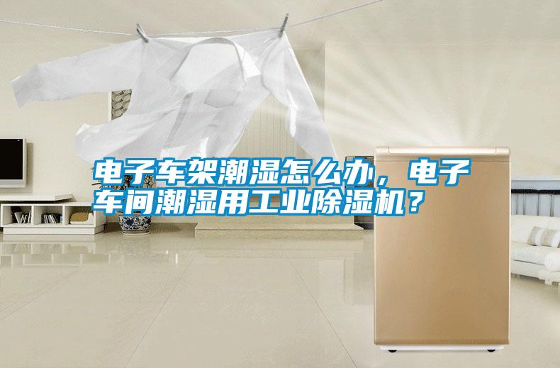 電子車架潮濕怎么辦，電子車間潮濕用工業除濕機？