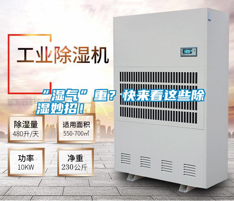 “濕氣”重？快來看這些除濕妙招！