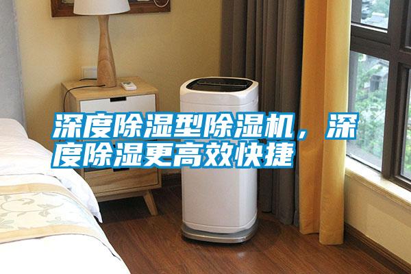 深度除濕型除濕機(jī),深度除濕更高效快捷