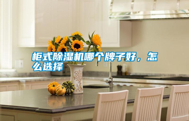 柜式除濕機哪個牌子好，怎么選擇