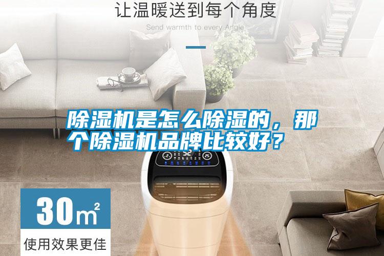 除濕機(jī)是怎么除濕的，那個(gè)除濕機(jī)品牌比較好？