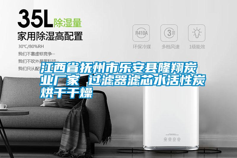 江西省撫州市樂(lè)安縣隆翔炭業(yè)廠家 過(guò)濾器濾芯水活性炭烘干干燥