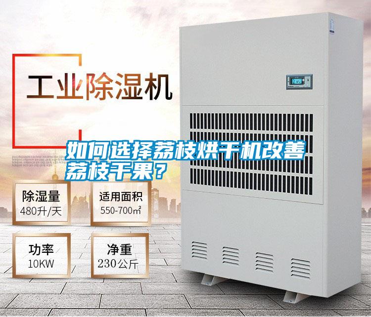 如何選擇荔枝烘干機改善荔枝干果？