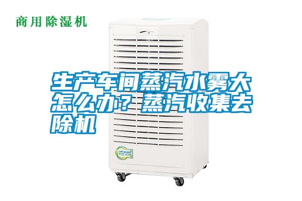 生產車間蒸汽水霧大怎么辦?蒸汽收集去除機