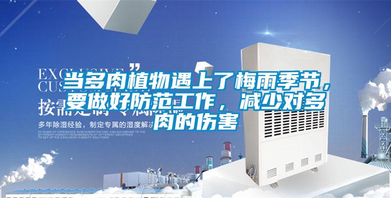 當多肉植物遇上了梅雨季節，要做好防范工作，減少對多肉的傷害