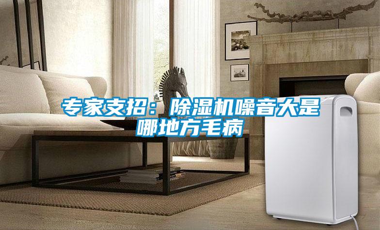 專家支招:除濕機(jī)噪音大是哪地方毛病