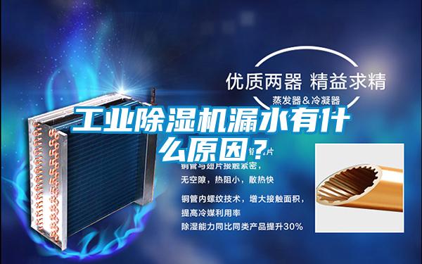 工業除濕機漏水有什么原因？