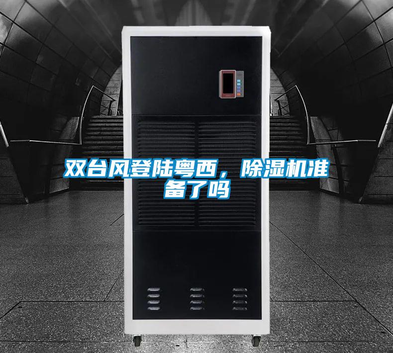 雙臺風登陸粵西，除濕機準備了嗎