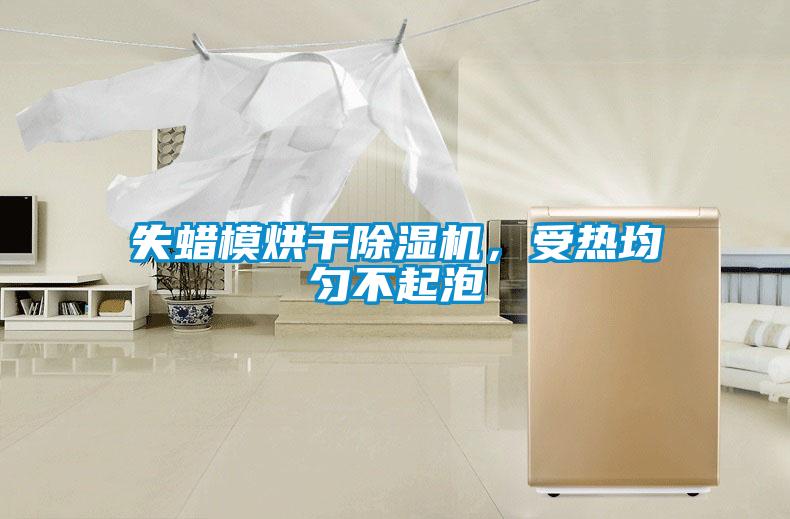 失蠟模烘干除濕機，受熱均勻不起泡