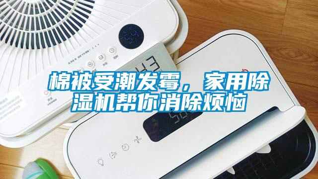 棉被受潮發霉，家用除濕機幫你消除煩惱