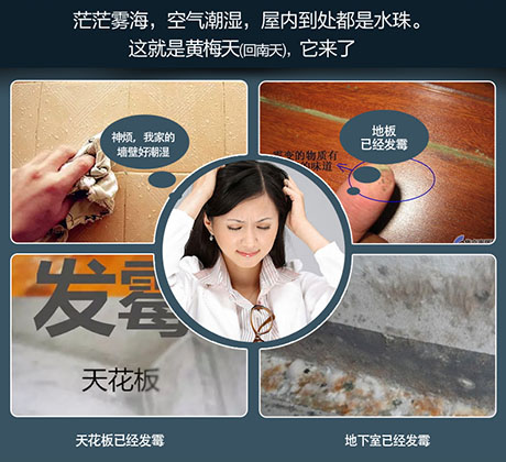 家庭別墅的地下室、衛生間、儲物室等該如何除濕？