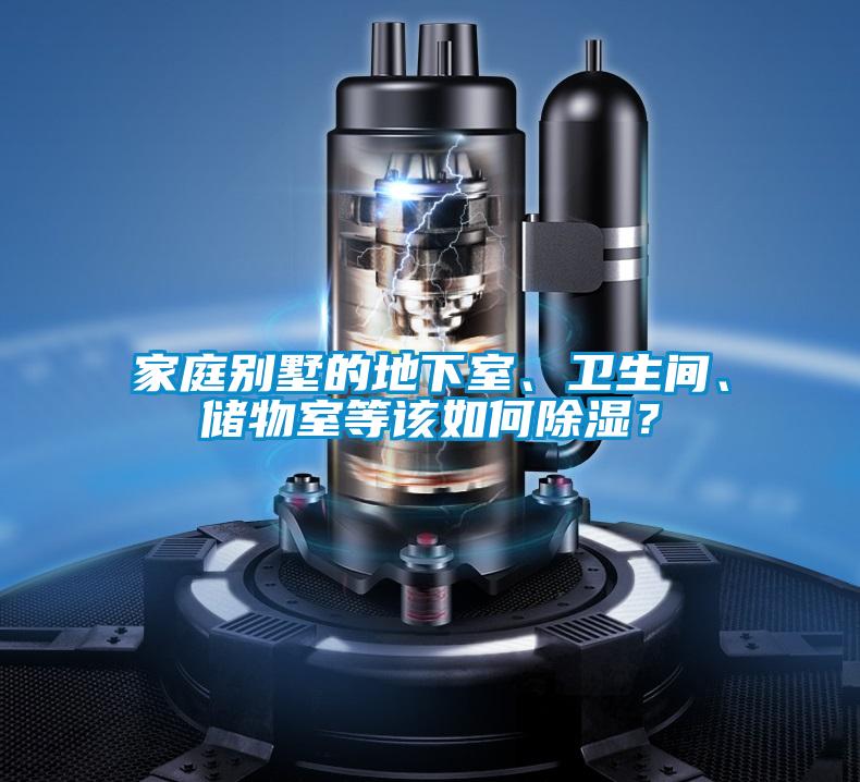 家庭別墅的地下室、衛(wèi)生間、儲(chǔ)物室等該如何除濕？
