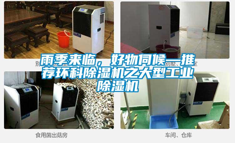 雨季來臨，好物伺候—推薦環科除濕機之大型工業除濕機