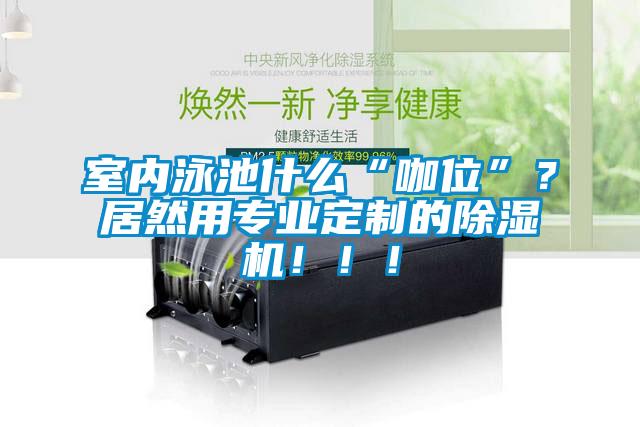 室內(nèi)泳池什么“咖位”？居然用專業(yè)定制的除濕機(jī)！！！