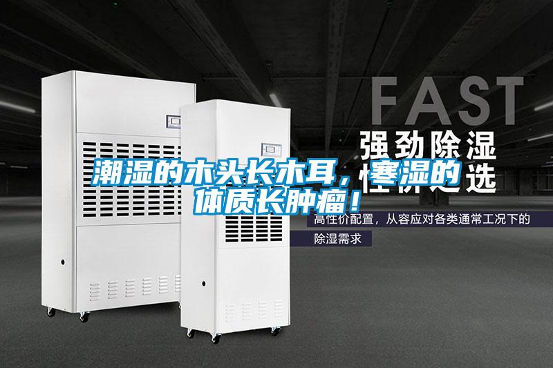 潮濕的木頭長木耳，寒濕的體質(zhì)長腫瘤！