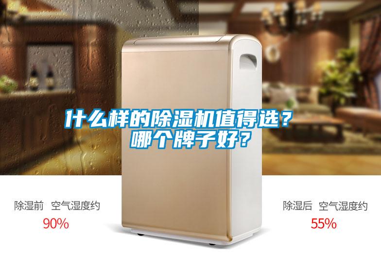 什么樣的除濕機(jī)值得選? 哪個(gè)牌子好?