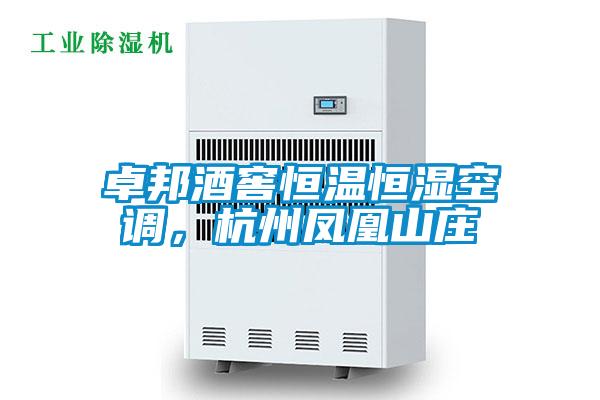 卓邦酒窖恒溫恒濕空調，杭州鳳凰山莊