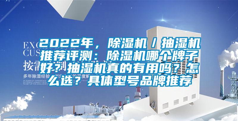 2022年,除濕機(jī)/抽濕機(jī)推薦評測:除濕機(jī)哪個(gè)牌子好?抽濕機(jī)真的有用嗎?怎么選?具體型號品牌推薦