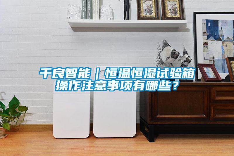 千良智能｜恒溫恒濕試驗箱操作注意事項有哪些？