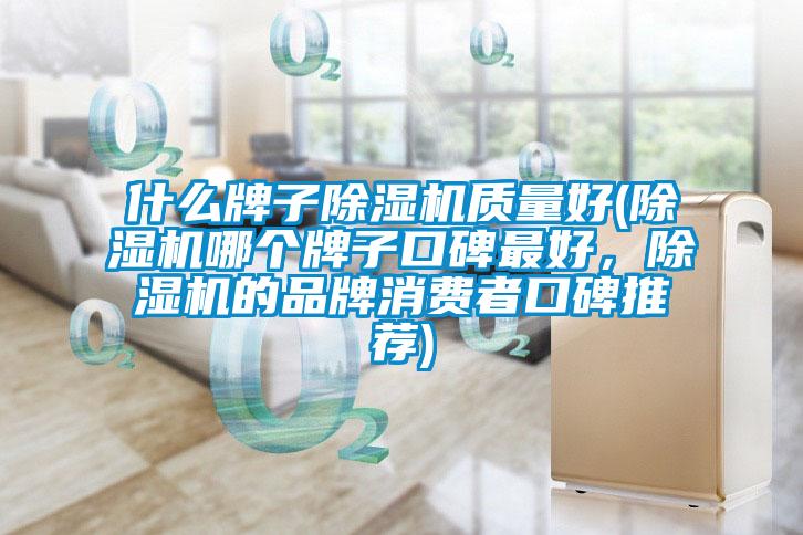 什么牌子除濕機質量好(除濕機哪個牌子口碑最好，除濕機的品牌消費者口碑推薦)