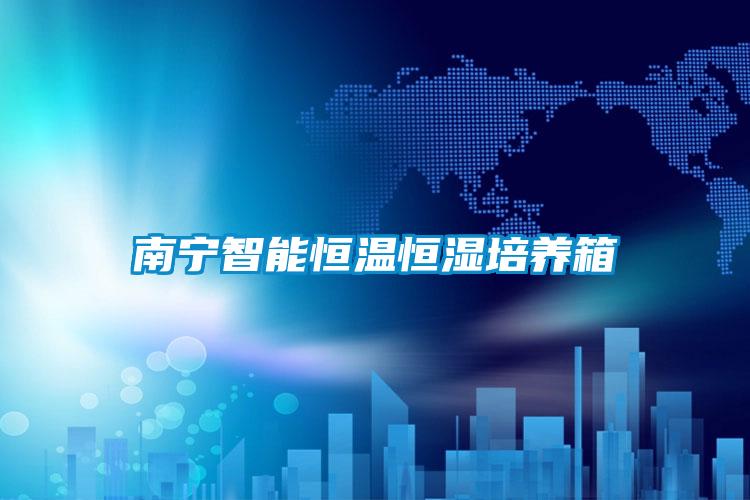 南寧智能恒溫恒濕培養箱