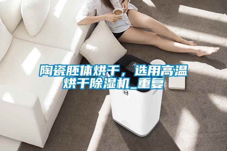 陶瓷胚體烘干,選用高溫烘干除濕機_重復