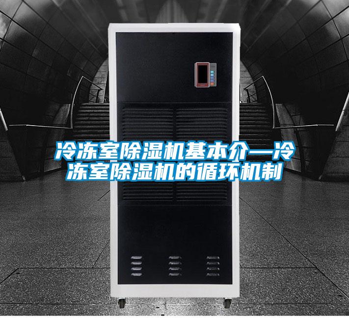 冷凍室除濕機(jī)基本介—冷凍室除濕機(jī)的循環(huán)機(jī)制