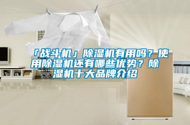 「戰斗機」除濕機有用嗎?使用除濕機還有哪些優勢?除濕機十大品牌介紹