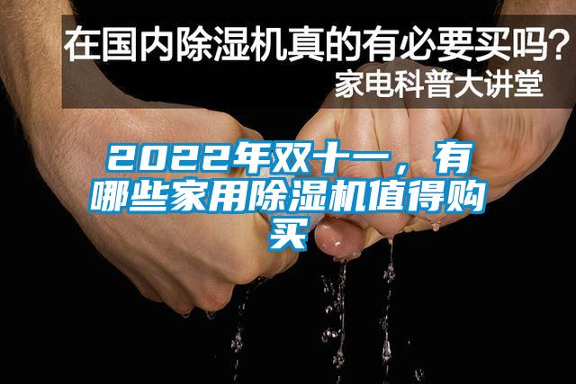 2022年雙十一，有哪些家用除濕機(jī)值得購買