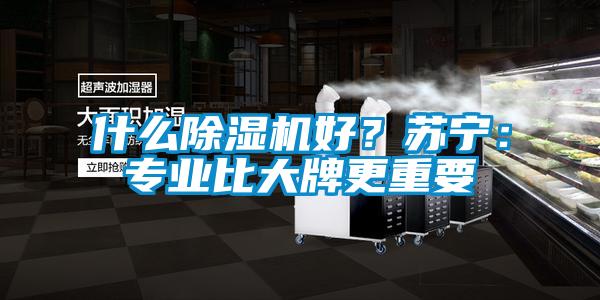 什么除濕機好？蘇寧：專業比大牌更重要