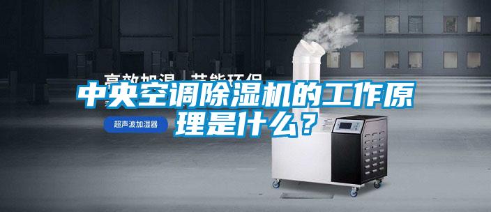 中央空調除濕機的工作原理是什么?