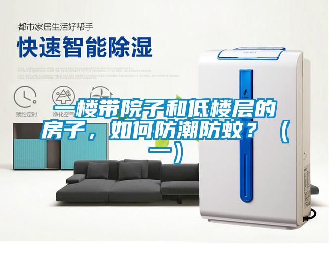 一樓帶院子和低樓層的房子，如何防潮防蚊？（一）