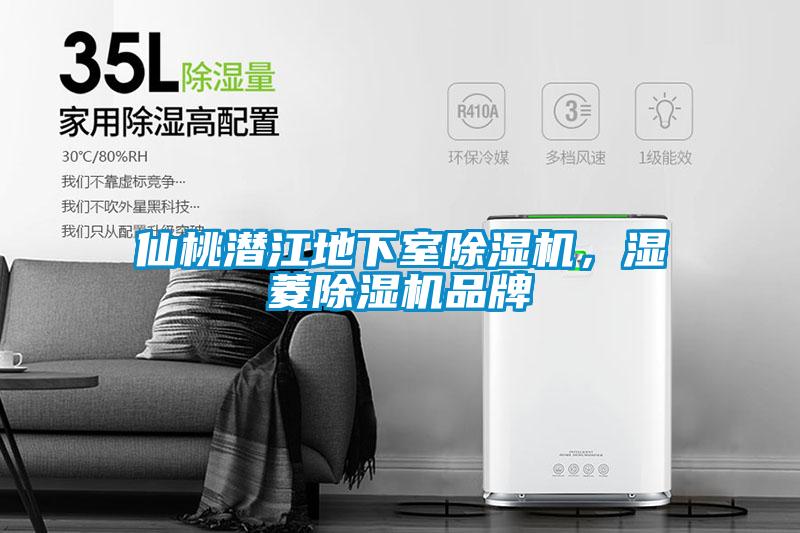 仙桃潛江地下室除濕機(jī)，濕菱除濕機(jī)品牌