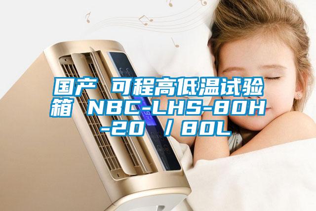 國產(chǎn) 可程高低溫試驗(yàn)箱 NBC-LHS-80H -20℃/80L