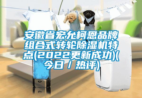 安徽省宏允柯恩品牌組合式轉(zhuǎn)輪除濕機特點(2022更新成功)(今日/熱評)