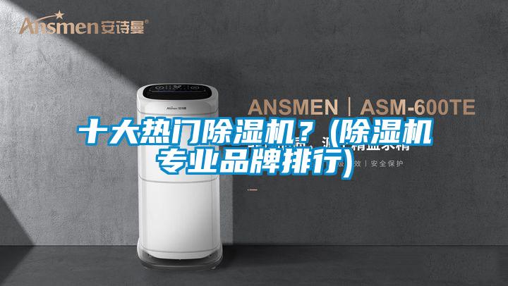 十大熱門除濕機？(除濕機專業(yè)品牌排行)